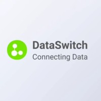 DataSwitch Inc. logo - Similar company to Adbureau Analytics