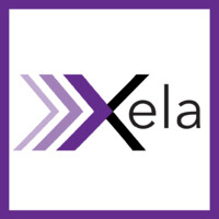The Xela Group logo - Similar company to Riseit™ Solutions