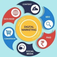 Online Business (SF) logo - Similar company to Azafashions