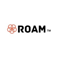 Roam Toothbrush logo - Similar company to Bristl, The Light Therapy Toothbrush