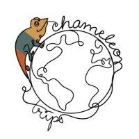 Chameleon Trips