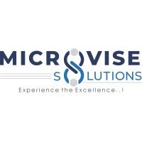 Microvise Solutions logo - Similar company to Skillbench