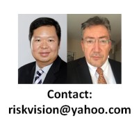 Risk Vision logo - Similar company to Knowco Ltd