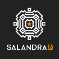 Salandra13 logo - Similar company to Delta Properties
