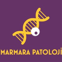 Marmara Patoloji Laboratuvarı logo - Similar company to Simeranya Dijital Teknoloji