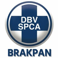 SPCA Brakpan logo - Similar company to Brakpan Educational Centre