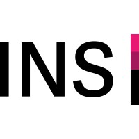 INS Institute for Networks and Security logo - Similar company to Eagle Pmx Ag