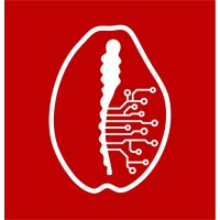 cybercory.com by Sainttly Group logo - Similar company to Firsttly - When Knowledge Solves Cybercrime