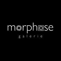 Galerie Morphose Nantes logo - Similar company to Sans Modération