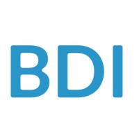 BDI Consulting logo - Similar company to Comparalab