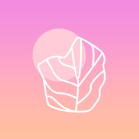 Palmar Studio logo - Similar company to Xdevelop