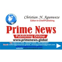 primenews.global logo - Similar company to Ace Creative