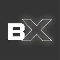 BX Professional Hair Care logo - Similar company to Baumber Hair Concept