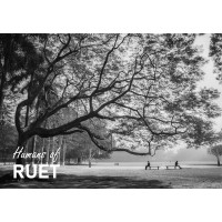 Humans Of Ruet