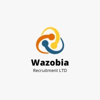 Wazobia Recruitment Agency logo - Similar company to Simba Techub