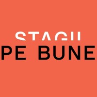 Stagii de Practica Iasi logo - Similar company to Matteale