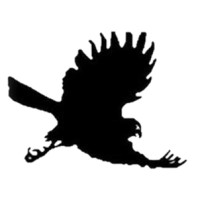 Blackhawk Audio logo - Similar company to Cts Avl