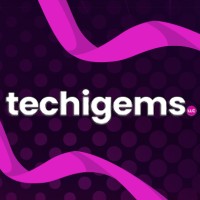 Techigems LLC. logo - Similar company to Synkflow Technologies