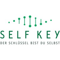 SELF KEY logo - Similar company to Dvision Network