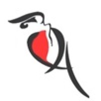 Vishesh Apparels - India logo - Similar company to Zykaz