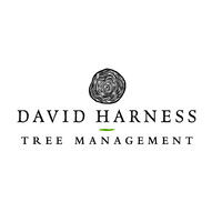 David Harness Tree Management