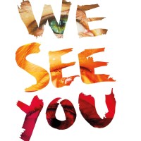 We See You logo - Similar company to Human Approach