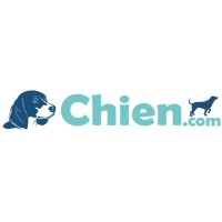 Chien.com logo - Similar company to Chien-Chien