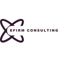 EFIRM CONSULTING logo - Similar company to Numiga Gmbh