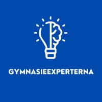 Gymnasieexperterna logo - Similar company to Small World