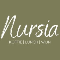 Nursia logo - Similar company to Hmi (Holland Maritime & Industry B.V.)