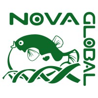 NovaGlobal Pte Ltd logo - Similar company to Cloudfx.Co