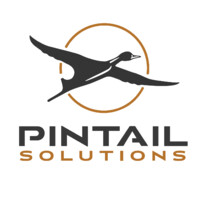 Pintail Solutions logo - Similar company to Pinwheel Solutions, Inc.