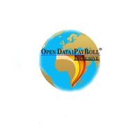 OPEN DATA | PAYROLL logo - Similar company to Pro Paint & Plastic Process Systems