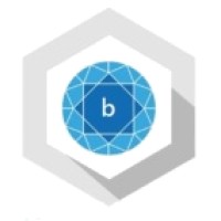 BINTEQ Systems Pvt. Ltd. logo - Similar company to Novelx Technologies