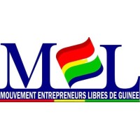 MEL-GUINÉE logo - Similar company to Vemsi-Solutions