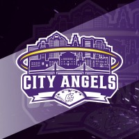 City Angels Baseball Academy logo - Similar company to Diamond Baseball Academy
