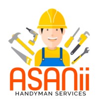Asanii.pk logo - Similar company to Strayasoft
