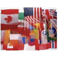 Meridican Capital LLC logo - Similar company to Firedrone Ai