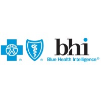 Blue Health Intelligence logo - Similar company to Strong Analytics, A Onesix Company