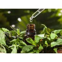 AgriEssence logo - Similar company to Agri-Essence