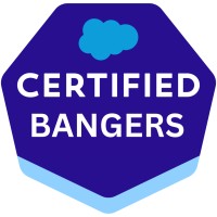 Salesforce Certified Bangers logo - Similar company to Salesforce Certification Program