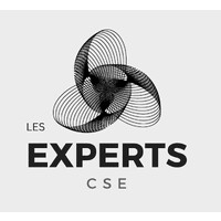 LES EXPERTS CSE logo - Similar company to Formasuite