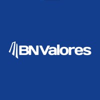 BN Valores logo - Similar company to Upscale Equity Partners