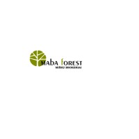 UAB Maba Forest logo - Similar company to It Summit, Mb