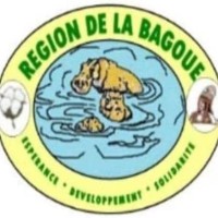 Conseil Régional Bagoué logo - Similar company to Société Nationale De Gestion Du Patrimoine Immobilier De L'Etat - Sonapie