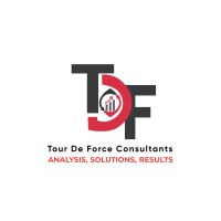 Tour De Force Consultants logo - Similar company to Block Next Solutions Llp