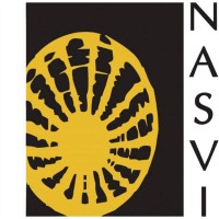 National Association Of Street Vendors Of India (Nasvi)