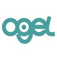 Ogel IT logo - Similar company to Intelogy