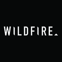 Wildfire Shoes logo - Similar company to Spendless Group