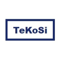 TeKoSi AG logo - Similar company to Safe Solution Group